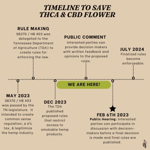 Save THCA TImeline (2)